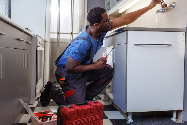 Best Toilet Repair Services  in Blaine, MN